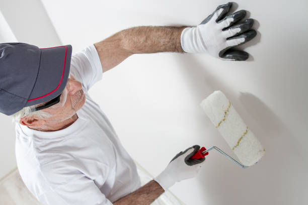 Best Mold Odor Removal Services  in Chalco, NE