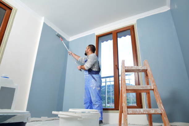 Chalco, NE Mold Removal Company