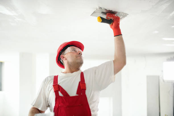  Chalco, NE Mold Removal Pros