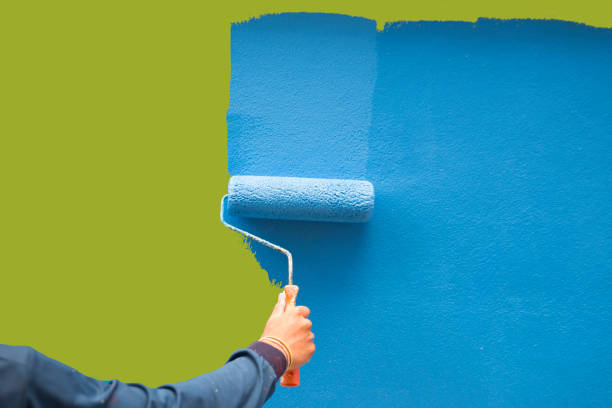 Best Real Estate Mold Inspection  in Chalco, NE